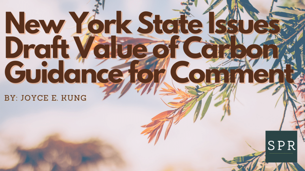 New York State Issues Draft Value of Carbon Guidance for Comment